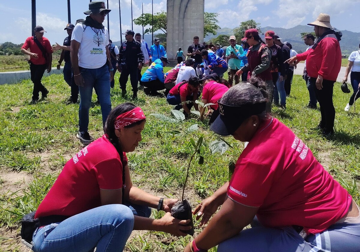 Sembraron más de 100 árboles para reforestar el occidente de Carabobo